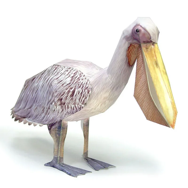 Art Craft With Cardboard - Grande pílicano branco pássaro modelo de
