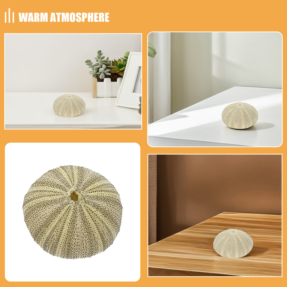 18 Peças de Conchas de Ouriço  - Art Craft Project avaliação e preço