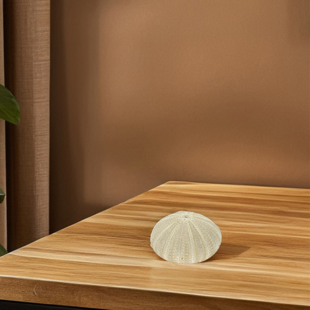 18 Peças de Conchas de Ouriço  - Art Craft Project avaliação e preço